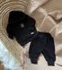 Детский костюм Сити птичка + Герб Украины черный, 92, Трикотаж трехнитка, Костюм, комплект