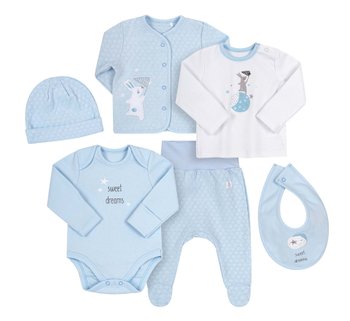 Комплект одежды для новорожденного в роддом Привет Зайка голубой, купить по лучшей цене 898 грн