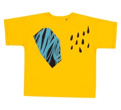Дитяча футболка Метеорит для хлопчика супрем