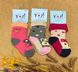 Шкарпетки для дівчаток Yoclub