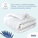Зимова ковдра Super Soft Premium 200х220 см, 200х220см (&plusmn;5 см), Зимова ковдра, Антиалергенне волокно, Бавовна