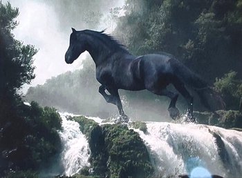 Алмазная мозаика на подрамнике Лошадь на реке