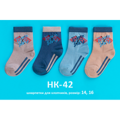 Шкарпетки для хлопчика РАЛІ 1 пара, Довжина стопи 14 см