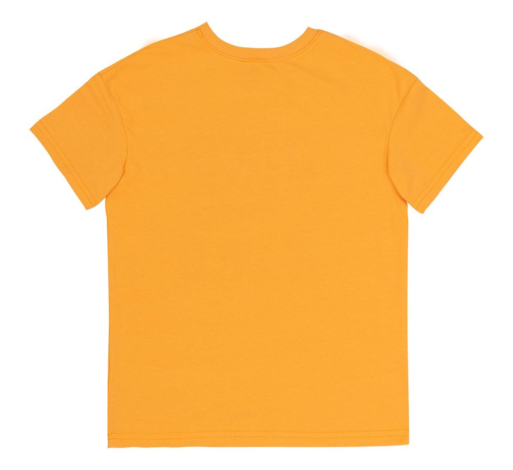 Летняя футболка Планета Дино для мальчика супрем желтая