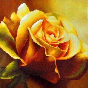 Наборы для вышивания крестом 41х41 Yellow Rose