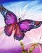 Набор для творчества со стразами на подрамнике Magic butterfly