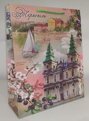 Бумажный подарочный пакет с изображением города Тернополь