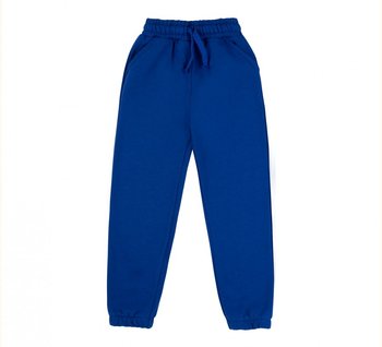 Дитячі універсальні штани Тринітка синя