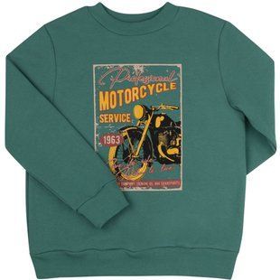 Світшот із начосом Motorcycle ДЖ354 для хлопчика