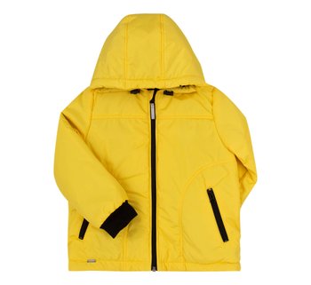 Детская демисезонная куртка Mister для хлопчика жовта