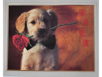 Набори для вишивання хрестом з малюнком на канві 60х70 Dog with a rose