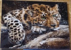 Картина стразами за номерами на підрамнику Леопард