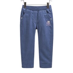 Детские осенние штаны шр 564 синие