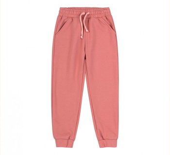 Дитячі спортивні штани Sport рожеві шр720 Бембі