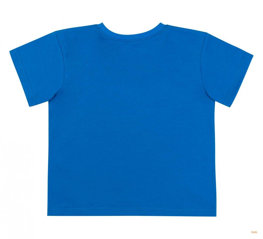 Детская футболка Астроном для мальчика супрем, 110, Супрем