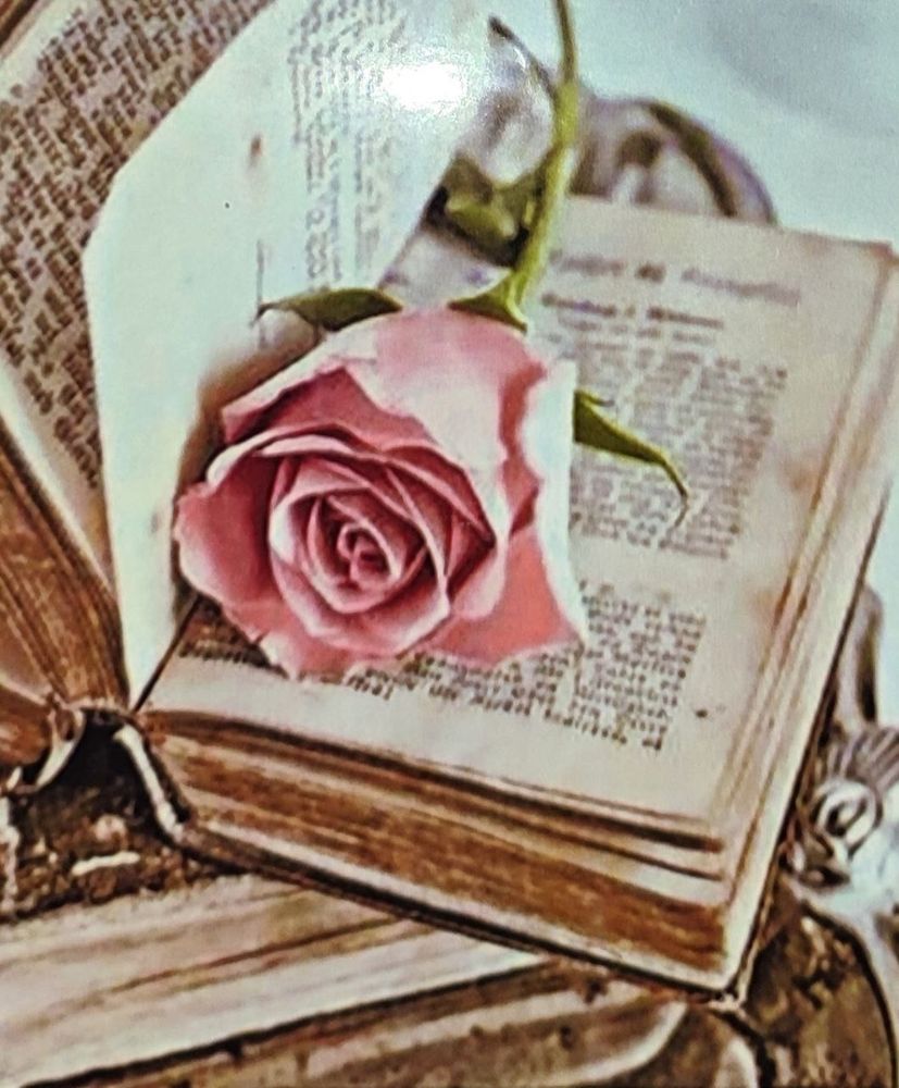 Картина стразами за номерами на підрамнику Троянда у книзі, 30х40 см