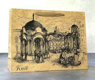 Подарунковий Пакет 34х24х10 см Київ
