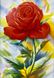 Картина для вишивання хрестиком 5D Троянда + акварель розмір 52х69 см