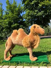 Мягкая игрушка Большой верблюд купить в Киеве