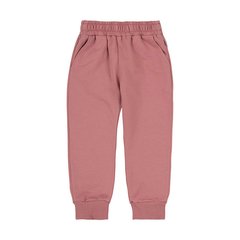 Детские спортивные штаны розовый трикотаж двунитка, Розовый, 92, Трикотаж