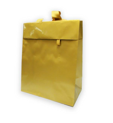 Подарочный Пакет Золотой 24*19*10 СМ