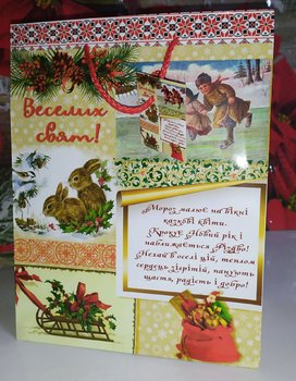 Новогодний пакет Мороз Рисует на окне 23х18х10
