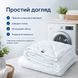 Всесезонна ковдра Comfort Standart 175х210, 172х205см (&plusmn;5 см), Всесезонне, Антиалергенне волокно, Мікрофібра