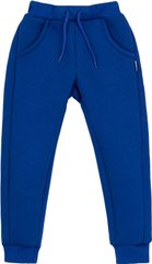 Теплые осенние штаны для мальчика, Синий, 92, Трикотаж