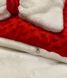 Конверт - плед на выписку Добрый Сон рубиновый плюш + махра, Зима, силикон, 100х80