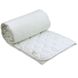 Летнее силиконовое одеяло ТМ Руно Легкость 175х205 см