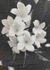 Картина стразами по номерам на подрамнику Цветок №38