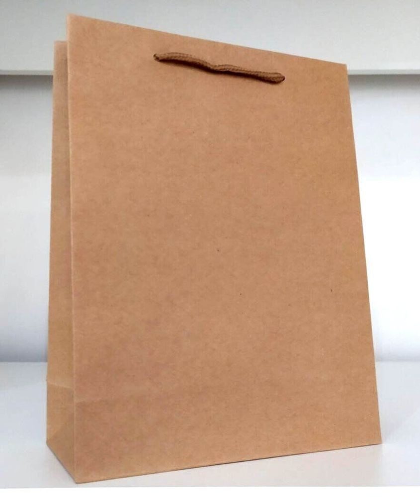 Бумажный крафт пакет с ручками 22х22х16