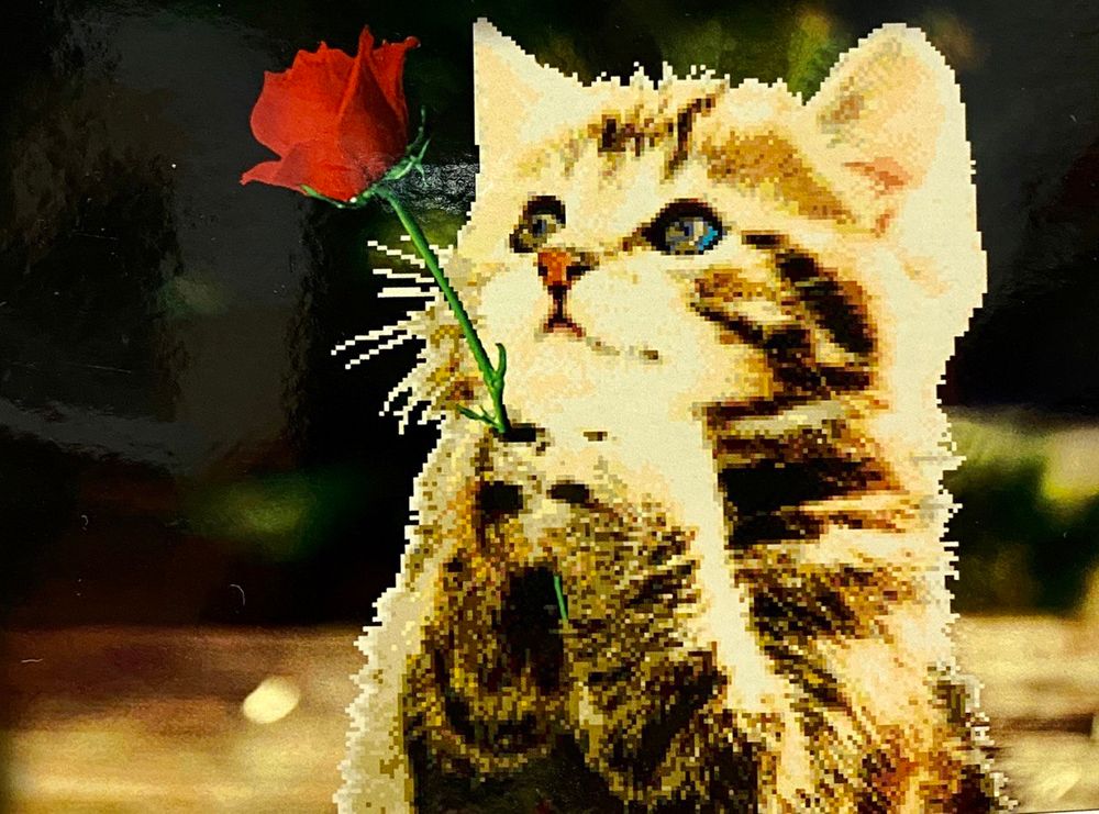 Набір для вишивання хрестиком Котик з Трояндою 62х49 см купити в Україні