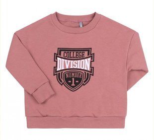 Теплий світшот College Division для хлопчика