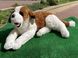 М'яка іграшка собака «СЕНБЕРНАР» 60 см, М'які іграшки СОБАКИ, до 60 см