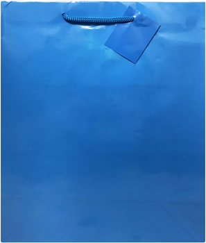 Пакет ламинированный Синий 30 * 25,5 * 11,5 см, Средние, Однотонные