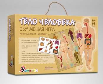 Фото, купить Игра с многоразовыми наклейками "Тело человека" русский язык, цена 158 грн