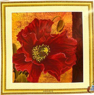 Набори для вишивання хрестом з малюнком на канві 55х55 poppy in a square