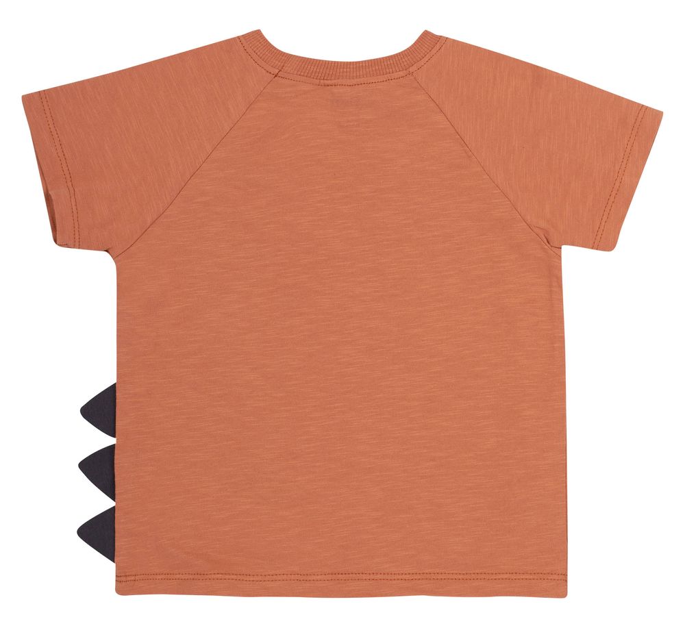 Летняя футболка Roar для мальчика супрем терракотовая